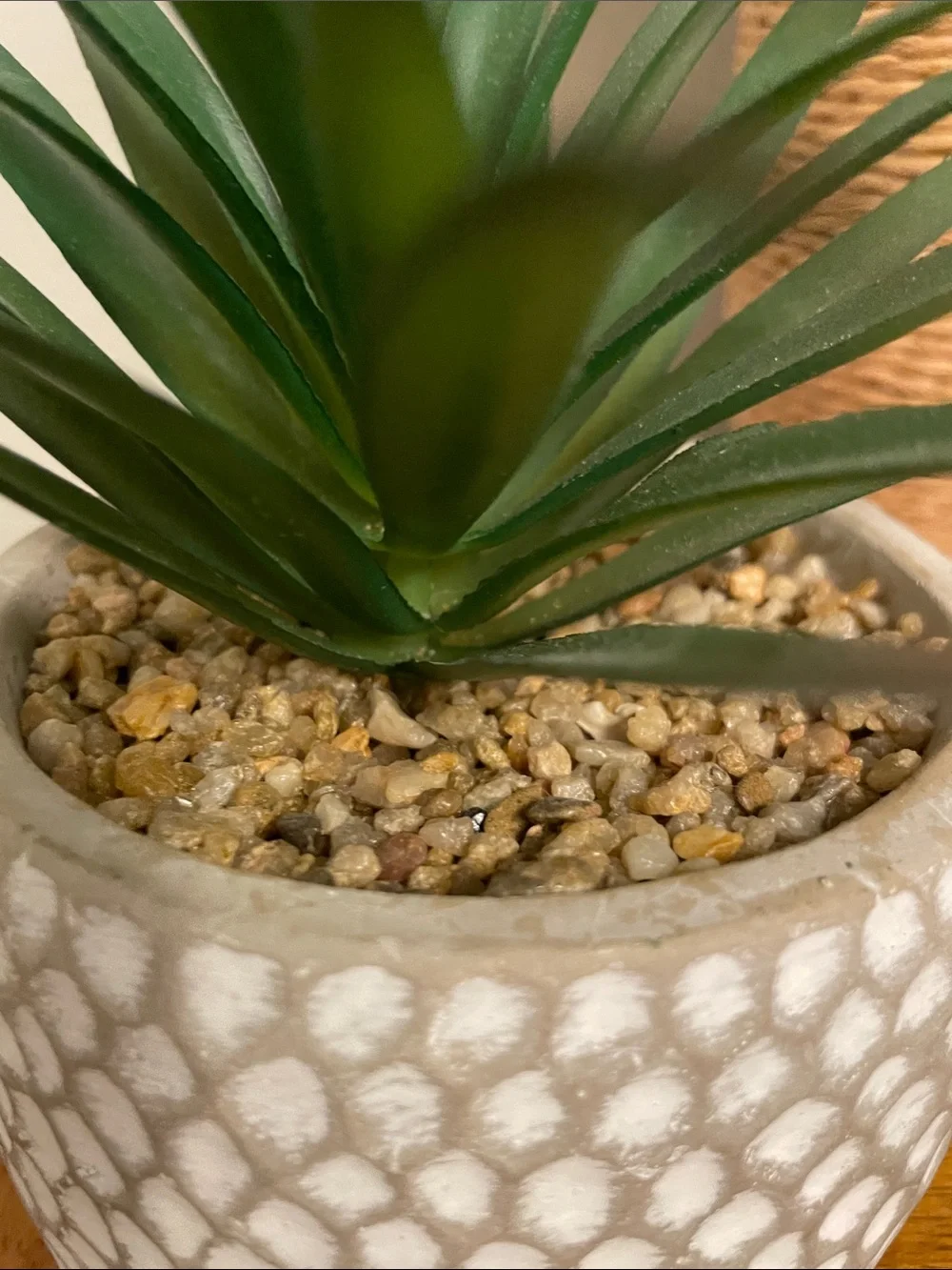 Artificial Faux Green Succulent Plant in Cement Pot Planter Excellent Condition
